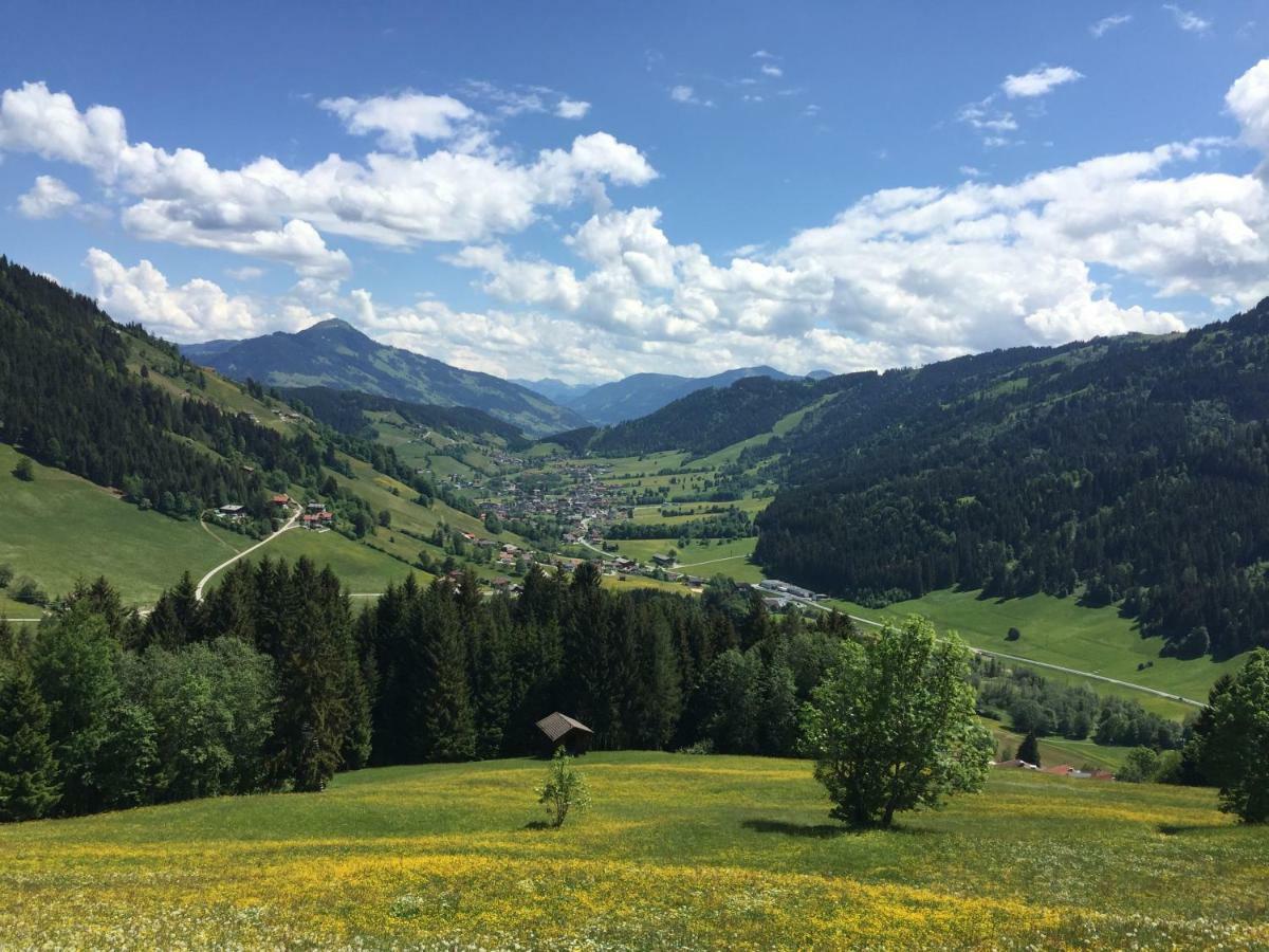 Sonnenalp Bergruhe Apartman Niederau Kültér fotó